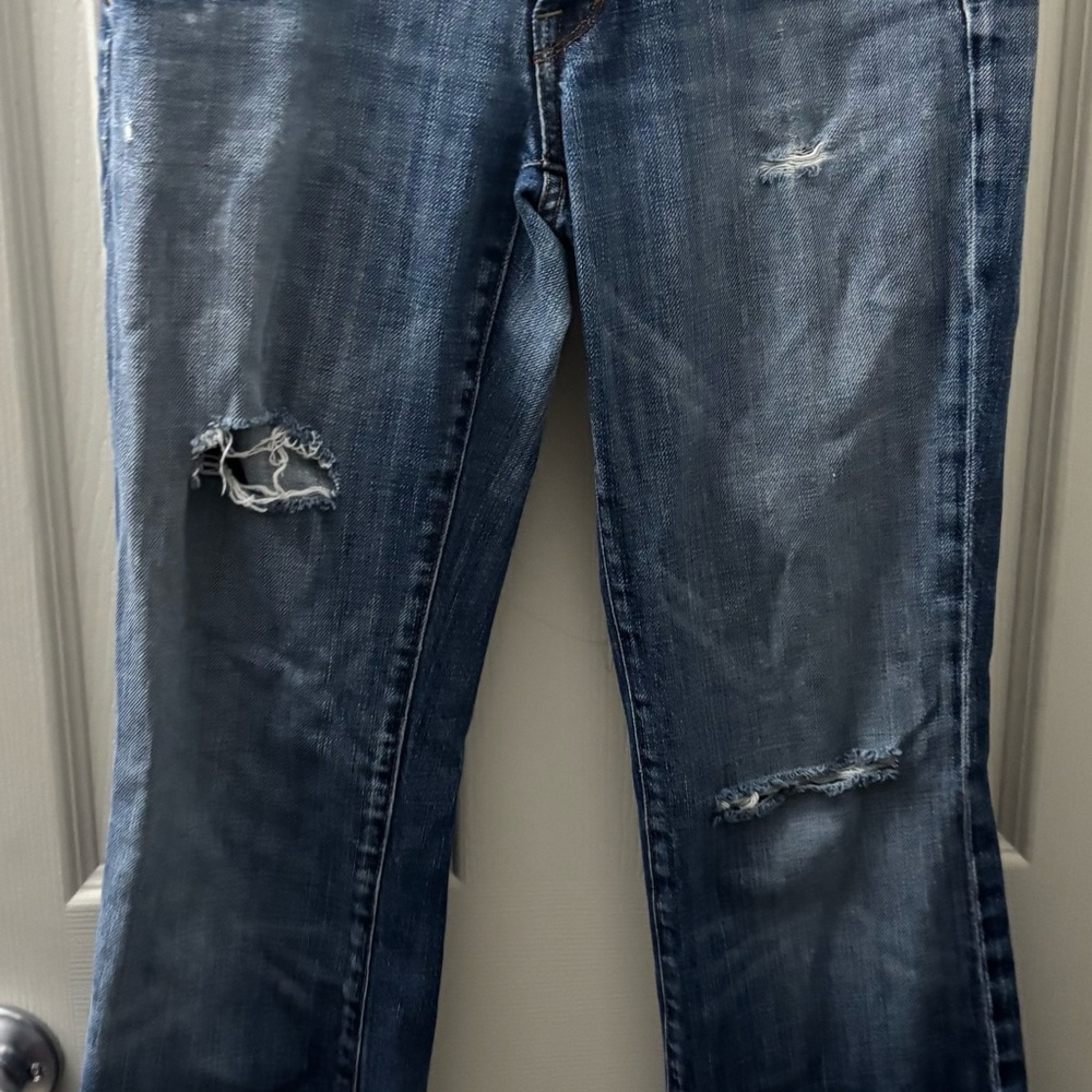 Citizen Blue Ankle Cropped Jeans with Distressed Details